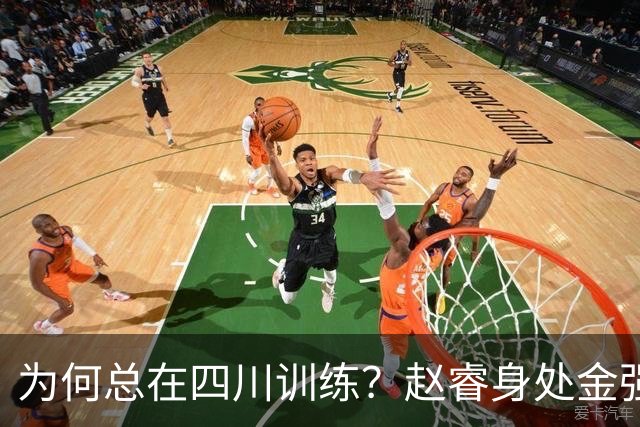 为何总在四川训练？赵睿身处金强苦练 他真娶了四川老婆？